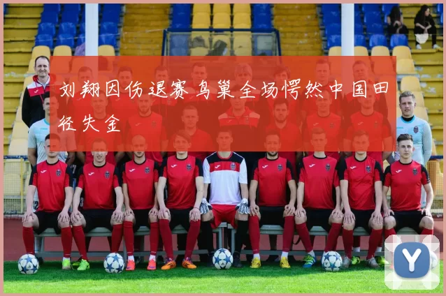 刘翔因伤退赛鸟巢全场愕然中国田径失金