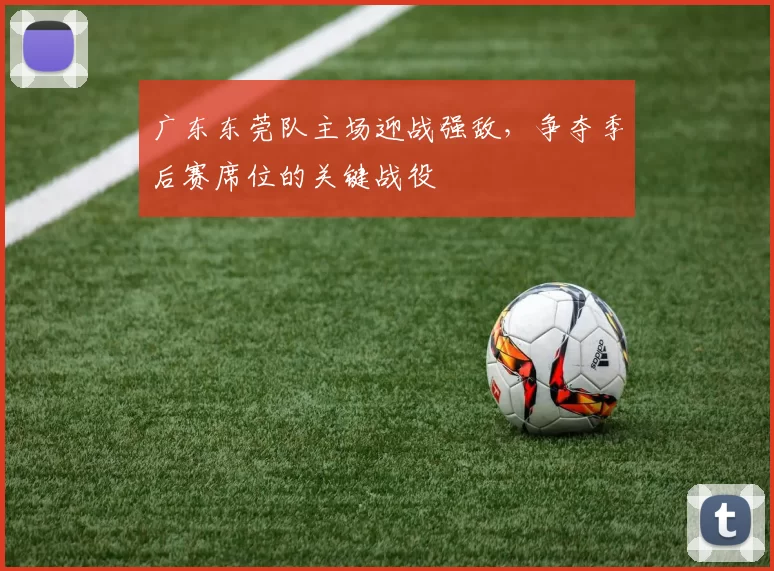 广东东莞队主场迎战强敌，争夺季后赛席位的关键战役