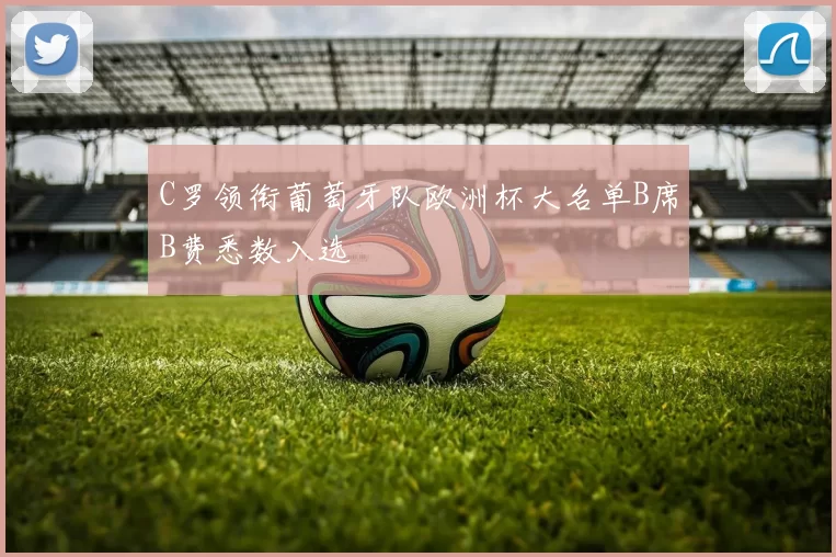 C罗领衔葡萄牙队欧洲杯大名单B席B费悉数入选