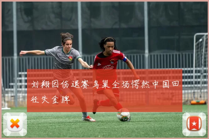 刘翔因伤退赛鸟巢全场愕然中国田径失金牌