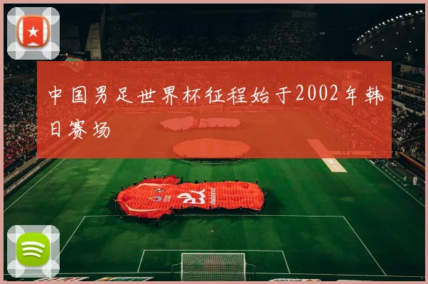 中国男足世界杯征程始于2002年韩日赛场