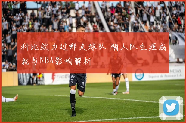 科比效力过哪支球队 湖人队生涯成就与NBA影响解析