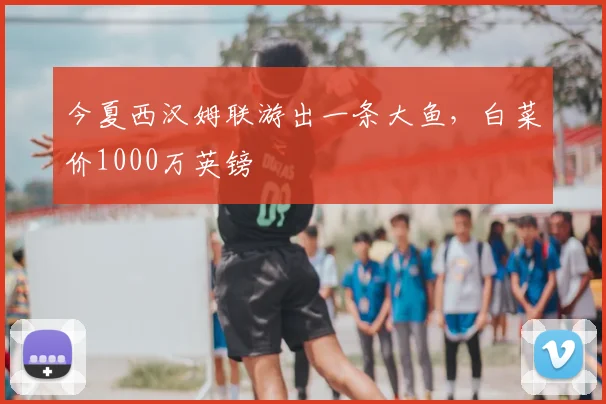 今夏西汉姆联游出一条大鱼，白菜价1000万英镑