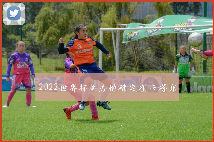 2022世界杯举办地确定在卡塔尔