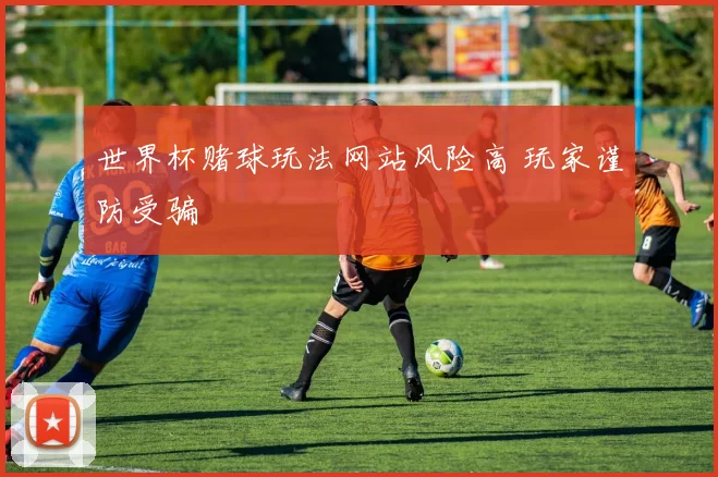世界杯赌球玩法网站风险高 玩家谨防受骗