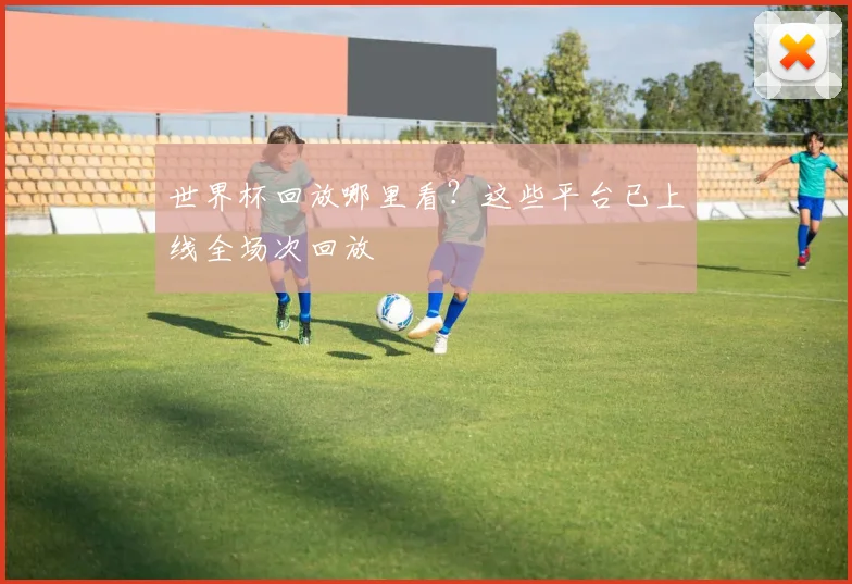 世界杯回放哪里看?这些平台已上线全场次回放