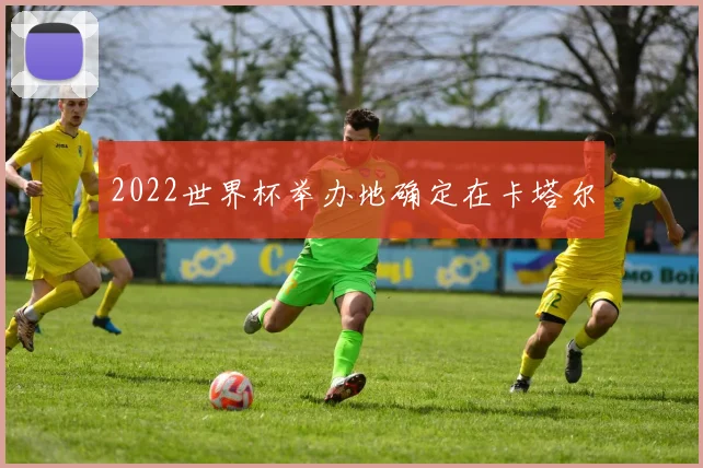 2022世界杯举办地确定在卡塔尔